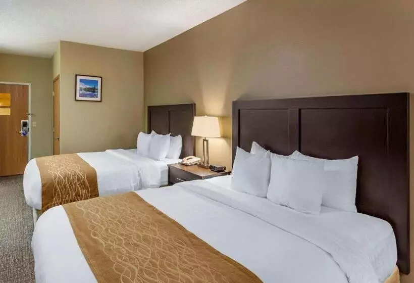 スタンダードルーム, Comfort Inn Evanston I 80