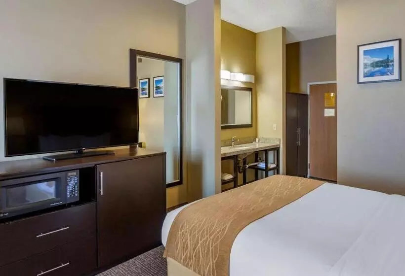 スタンダードルーム, Comfort Inn Evanston I 80