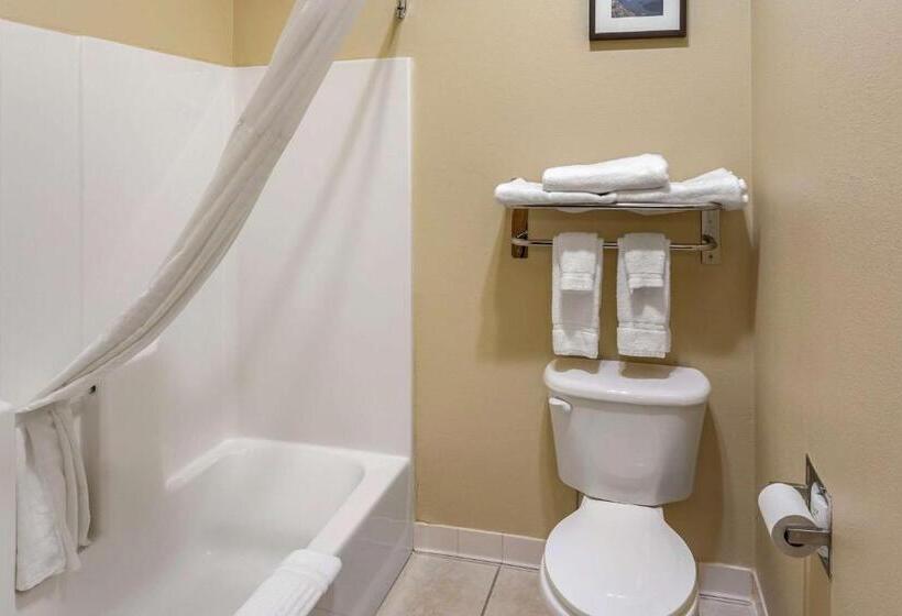 غرفة عائلية, Comfort Inn Evanston I 80