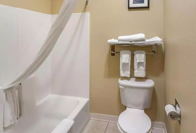 ファミリールーム, Comfort Inn Evanston I 80