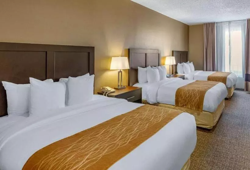 ファミリールーム, Comfort Inn Evanston I 80