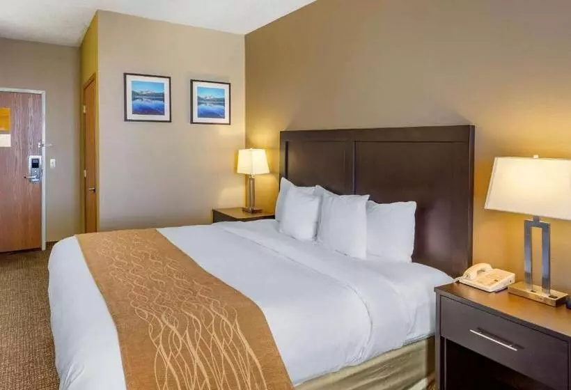 身障者適用キングサイズベッドルーム, Comfort Inn Evanston I 80