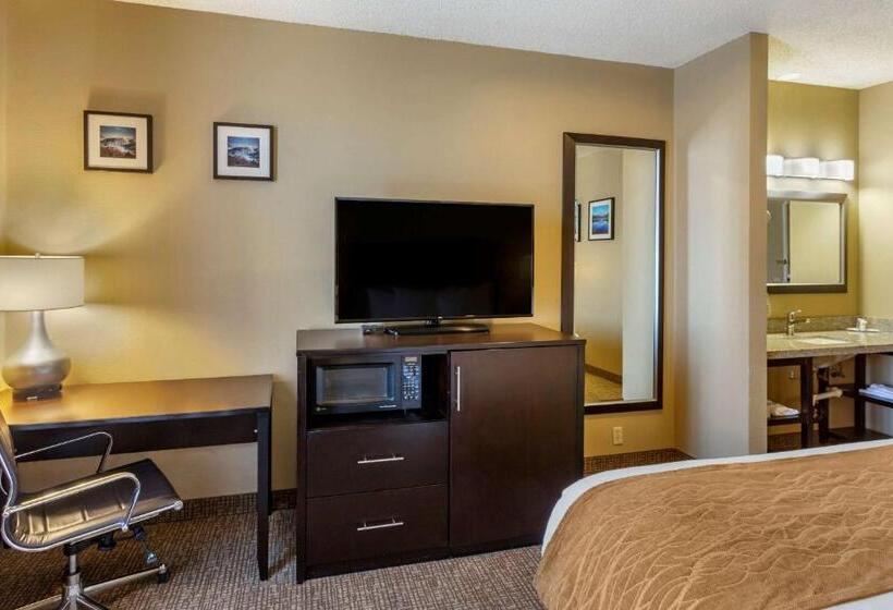 غرفة قياسية سرير كينج لذوى الإحتياجات الخاصة, Comfort Inn Evanston I 80