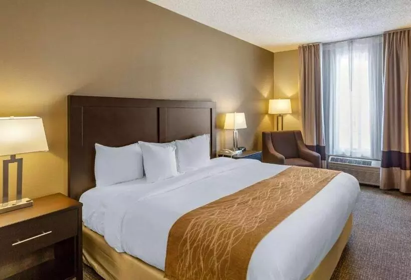 身障者適用キングサイズベッドルーム, Comfort Inn Evanston I 80