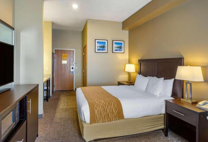 Номер Стандарт Адаптированный для Инвалидов, Comfort Inn Evanston I 80