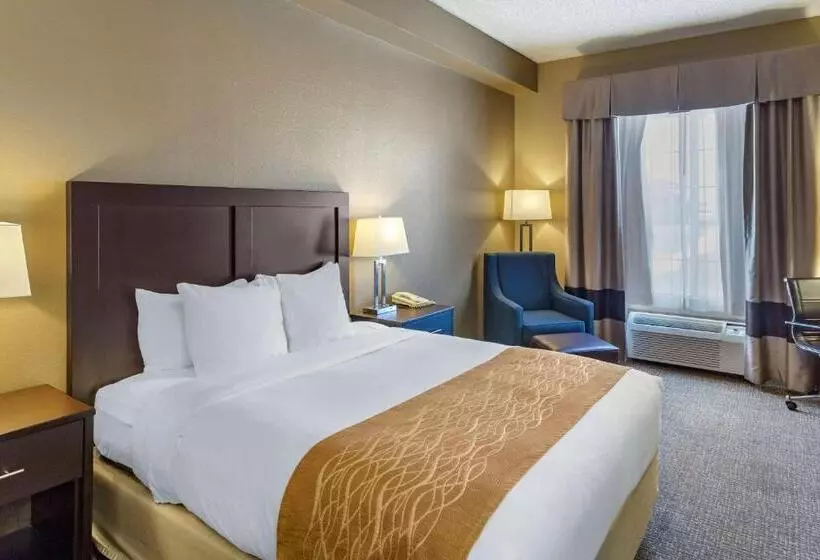 身障者適用スタンダードルーム, Comfort Inn Evanston I 80