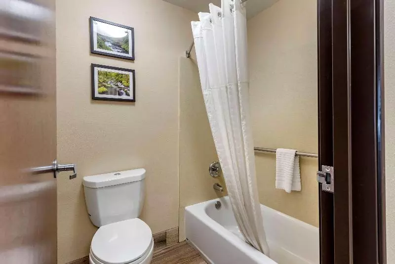 اتاق استاندارد با تخت بزرگ, Comfort Inn Portland Near I84 And I205