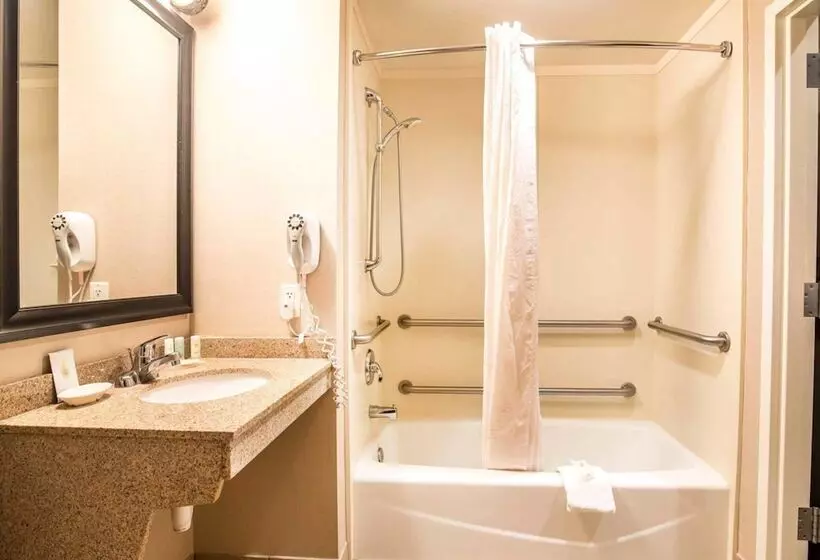 スイート, Comfort Inn & Suites Dover Portsmouth