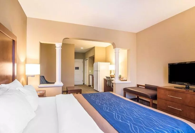 スイート, Comfort Inn & Suites Dover Portsmouth