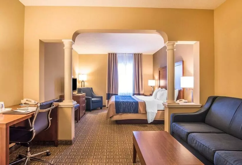 スイート, Comfort Inn & Suites Dover Portsmouth