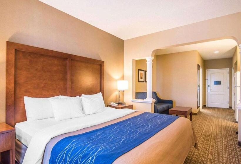 Стандартный Номер Кровать Кинг, Comfort Inn & Suites Dover Portsmouth