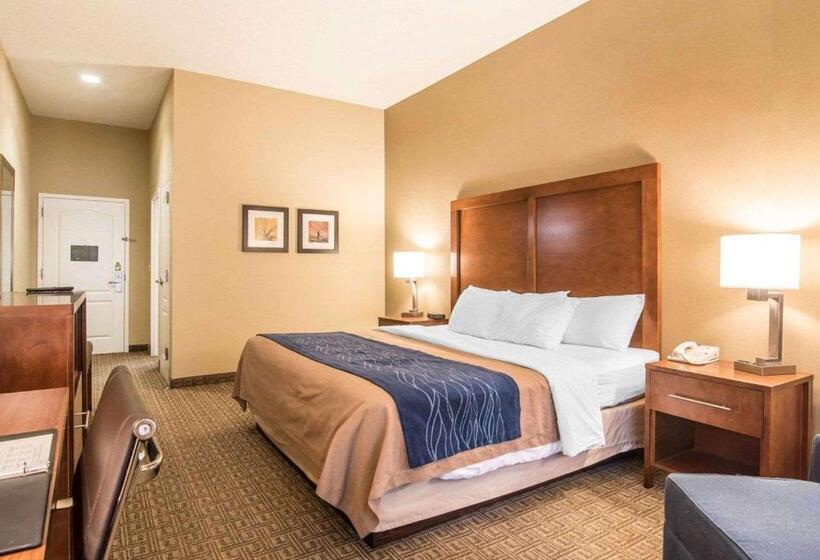 Стандартный Номер Кровать Кинг, Comfort Inn & Suites Dover Portsmouth