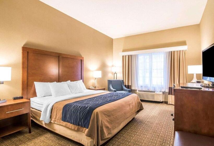 غرفة قياسية سرير كينج, Comfort Inn & Suites Dover Portsmouth