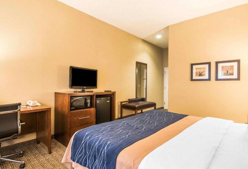 غرفة قياسية سرير كينج, Comfort Inn & Suites Dover Portsmouth