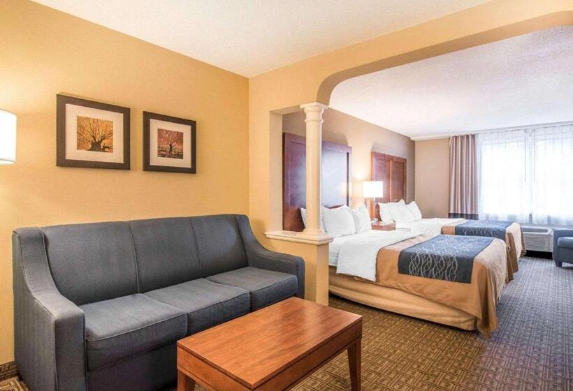 جناح, Comfort Inn & Suites Dover Portsmouth