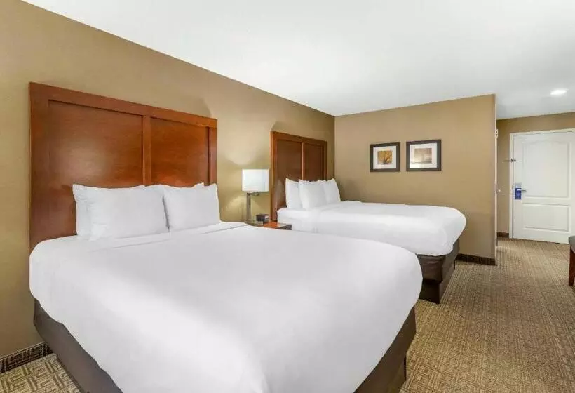 スタンダードルーム, Comfort Inn & Suites Dover Portsmouth