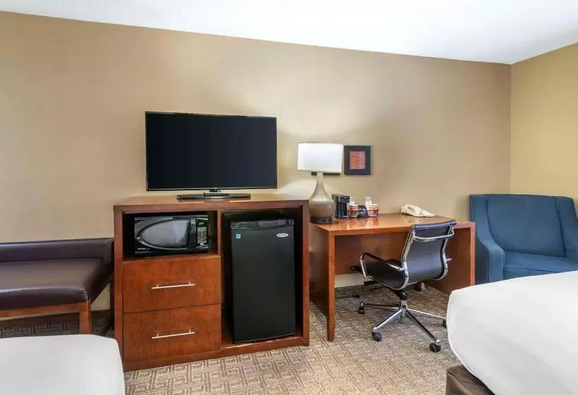 スタンダードルーム, Comfort Inn & Suites Dover Portsmouth