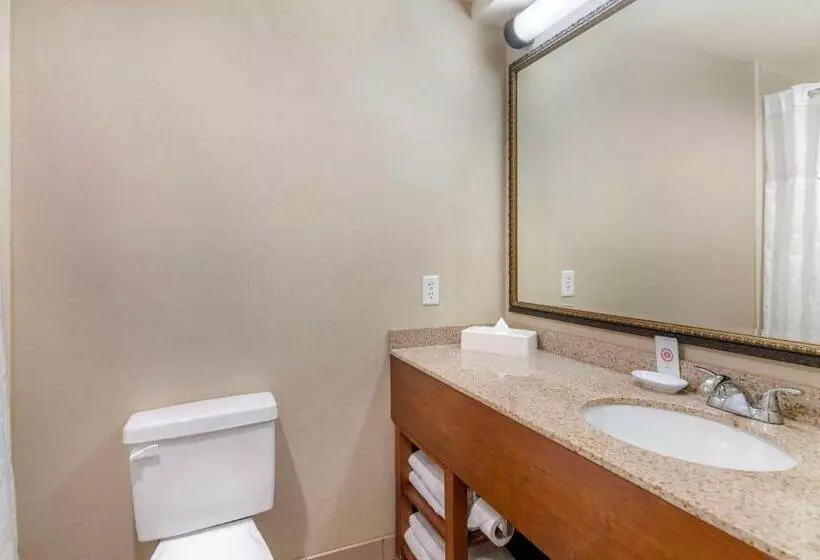 キングサイズベッドのスタンダードルーム, Comfort Inn & Suites Dover Portsmouth