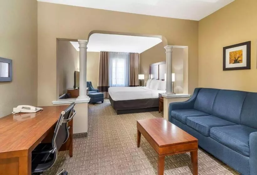 キングサイズベッドのスタンダードルーム, Comfort Inn & Suites Dover Portsmouth