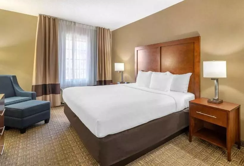 キングサイズベッドのスタンダードルーム, Comfort Inn & Suites Dover Portsmouth