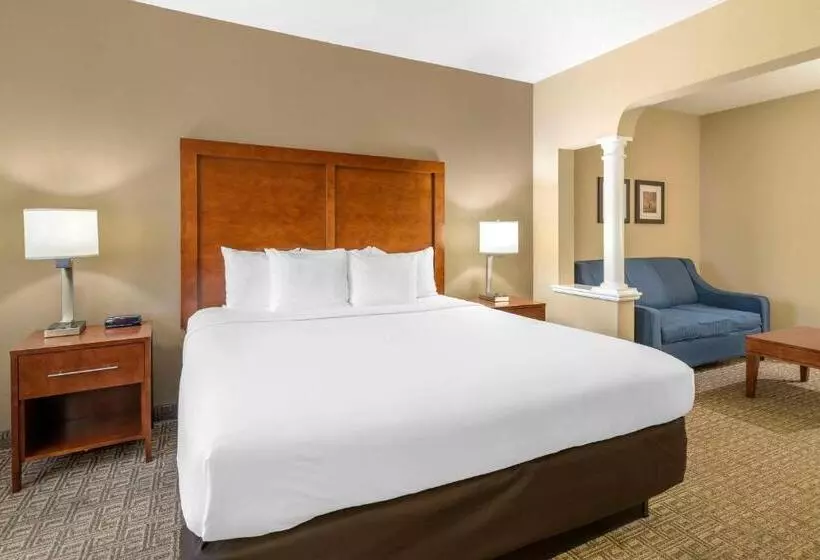 キングサイズベッドのスタンダードルーム, Comfort Inn & Suites Dover Portsmouth