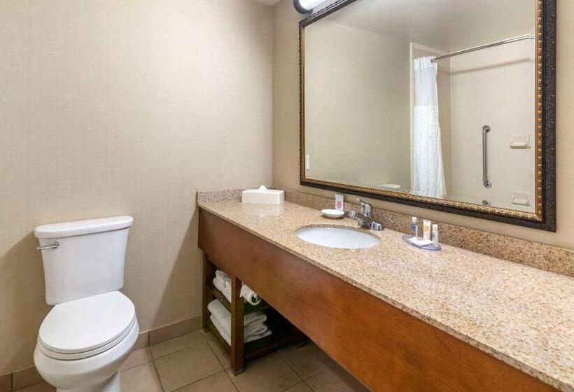 Стандартный Номер Кровать Кинг, Comfort Inn & Suites Dover Portsmouth