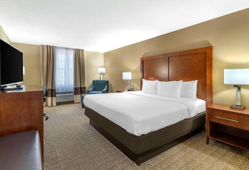 غرفة قياسية سرير كينج, Comfort Inn & Suites Dover Portsmouth