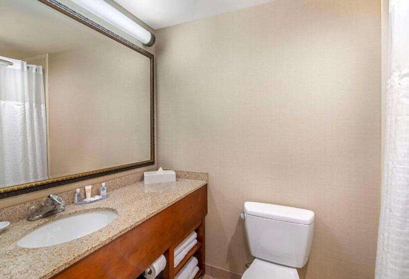 Люкс, Comfort Inn & Suites Dover Portsmouth