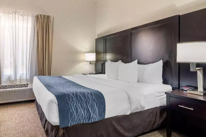 キングサイズベッドのスイートルーム, Comfort Inn & Suites Atlanta Smyrna