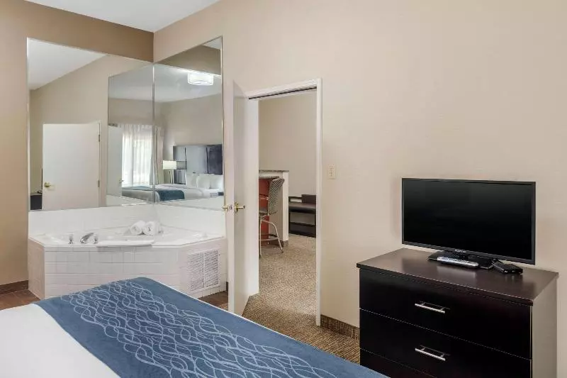 スイート, Comfort Inn & Suites Atlanta Smyrna
