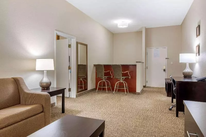 スイート, Comfort Inn & Suites Atlanta Smyrna