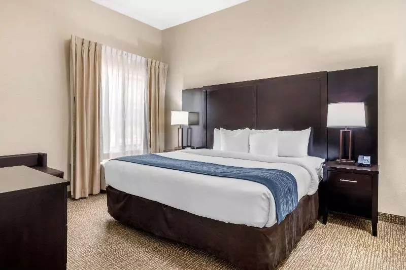スイート, Comfort Inn & Suites Atlanta Smyrna