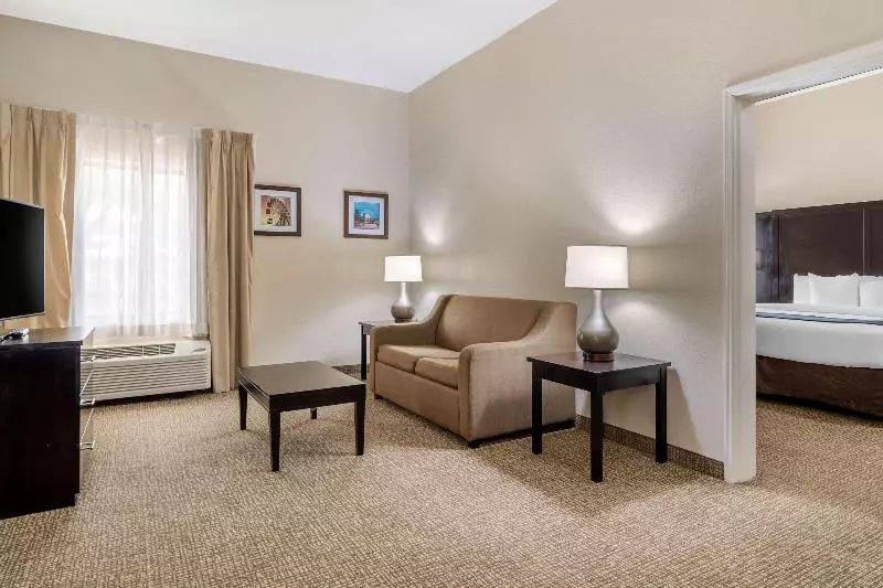 スイート, Comfort Inn & Suites Atlanta Smyrna
