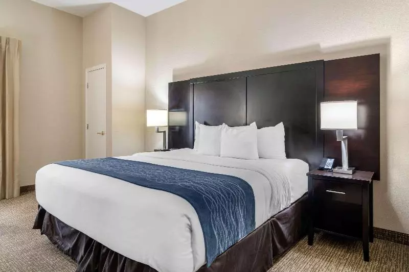 キングサイズベッドのスタンダードルーム, Comfort Inn & Suites Atlanta Smyrna