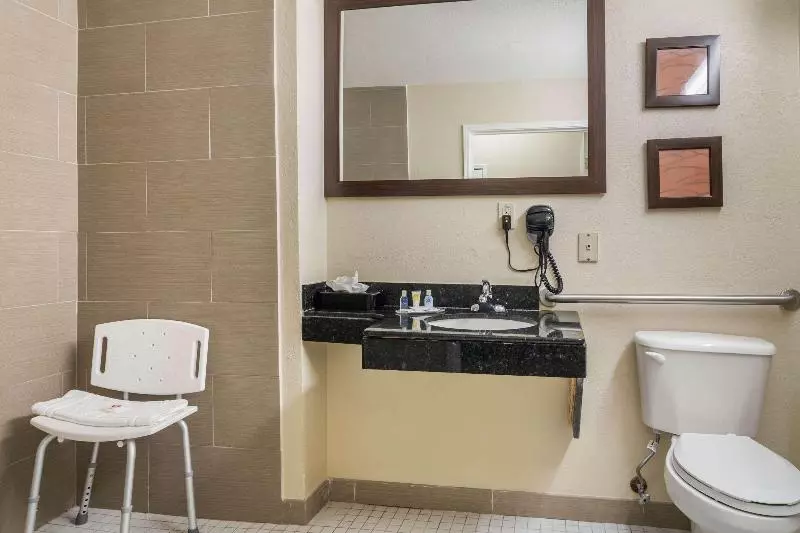 キングサイズベッドのスタンダードルーム, Comfort Inn & Suites Atlanta Smyrna