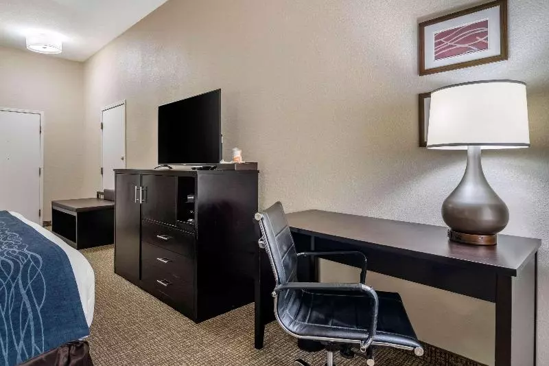 キングサイズベッドのスタンダードルーム, Comfort Inn & Suites Atlanta Smyrna