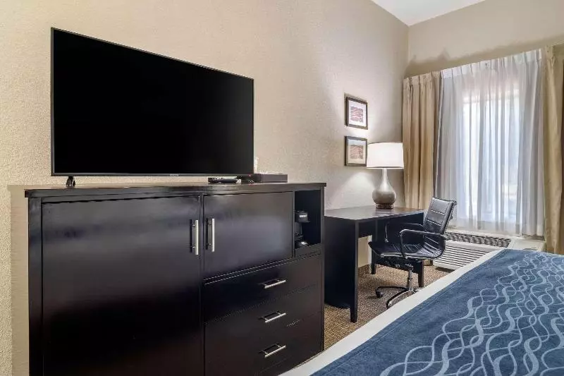 キングサイズベッドのスタンダードルーム, Comfort Inn & Suites Atlanta Smyrna