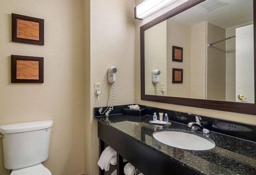 جناح, Comfort Inn & Suites Atlanta Smyrna