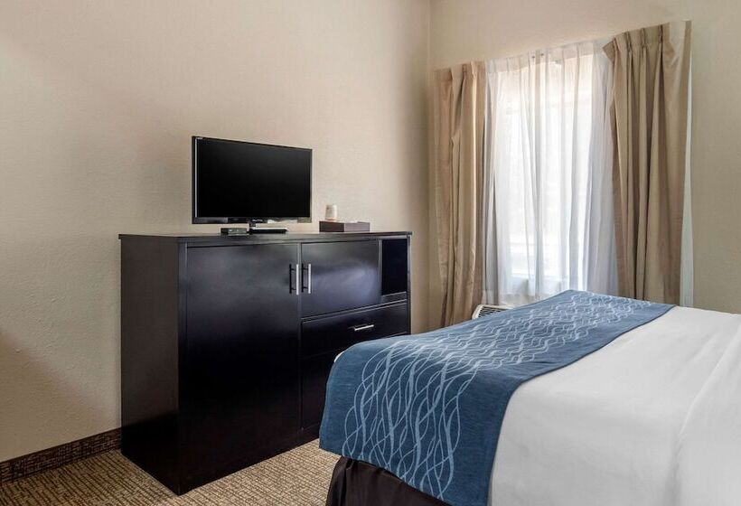 סוויטה, Comfort Inn & Suites Atlanta Smyrna