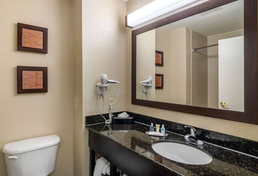 סוויטה, Comfort Inn & Suites Atlanta Smyrna