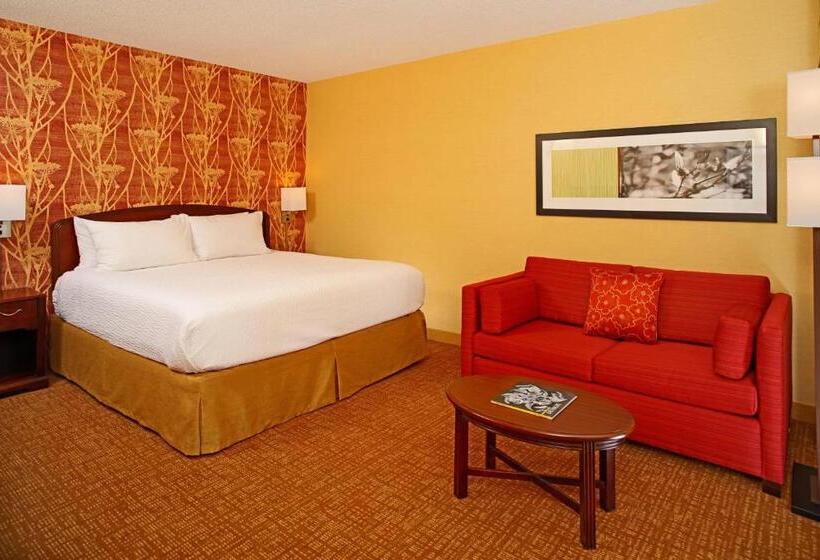 غرفة قياسية سرير كينج لذوى الإحتياجات الخاصة, Courtyard By Marriott Baltimore Downtown/inner Harbor