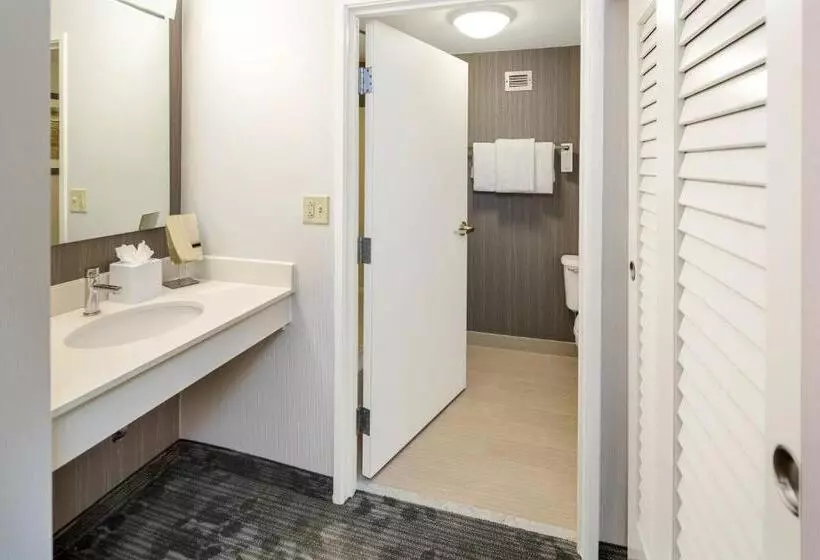 اتاق استاندارد با تخت بزرگ, Courtyard By Marriott Bryan College Station