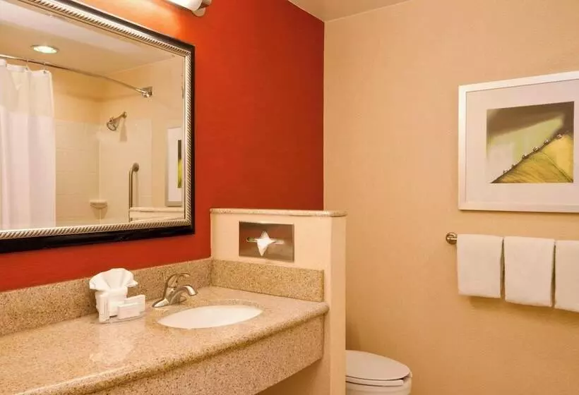 Standard-huone, Courtyard By Marriott Amarillo West/medical Center
