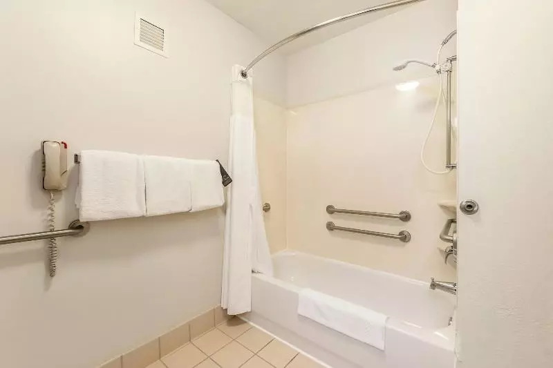 اتاق استاندارد با تخت بزرگ, Courtyard Dallas Dfw Airport South/irving