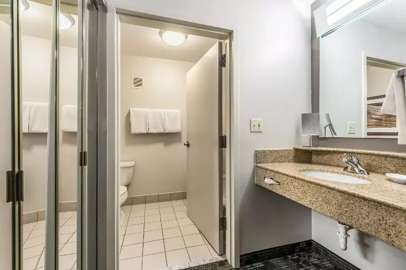 اتاق استاندارد با تخت بزرگ, Courtyard Dallas Dfw Airport South/irving