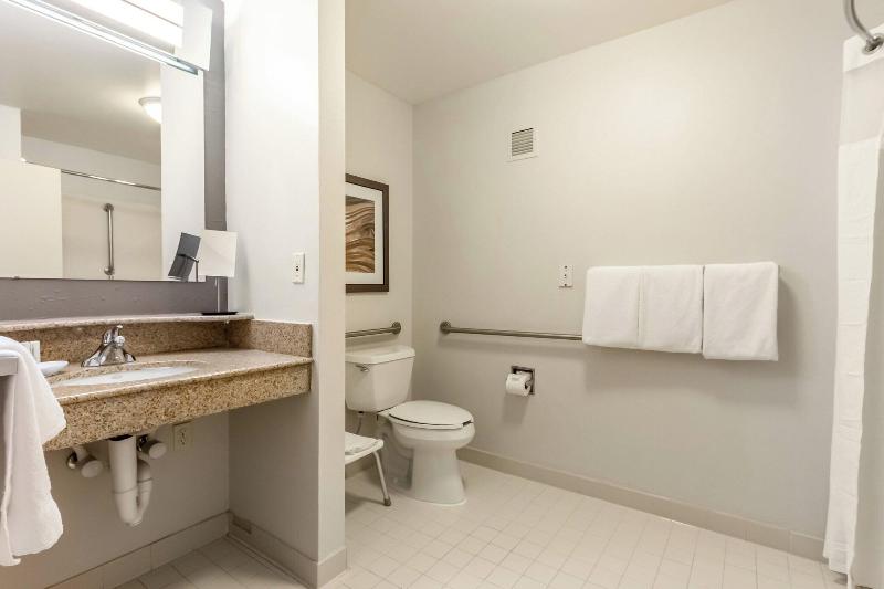 스탠다드 룸 킹사이즈 침대, Courtyard Dallas Dfw Airport South/irving