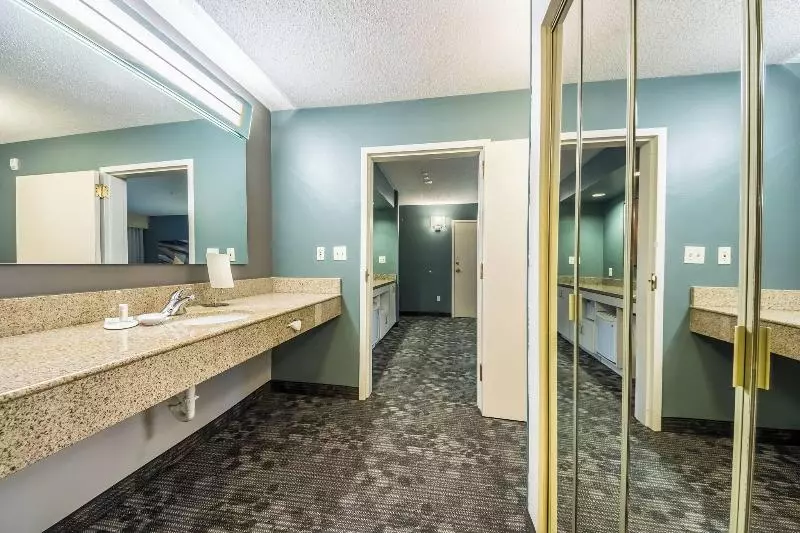 سوئیت با تخت بزرگ, Courtyard Dallas Dfw Airport South/irving
