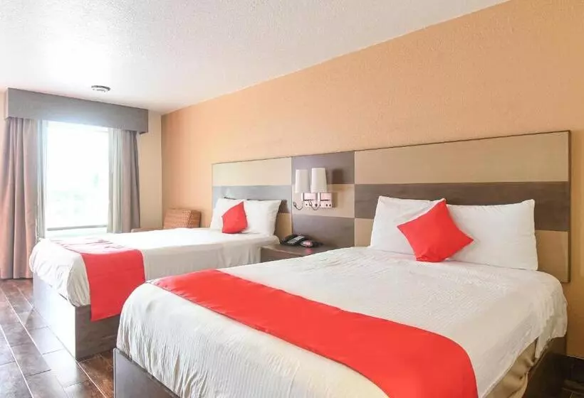 ２ダブルベッドのスタンダードルーム, OYO Hotel Shenandoah Woodlands Mall