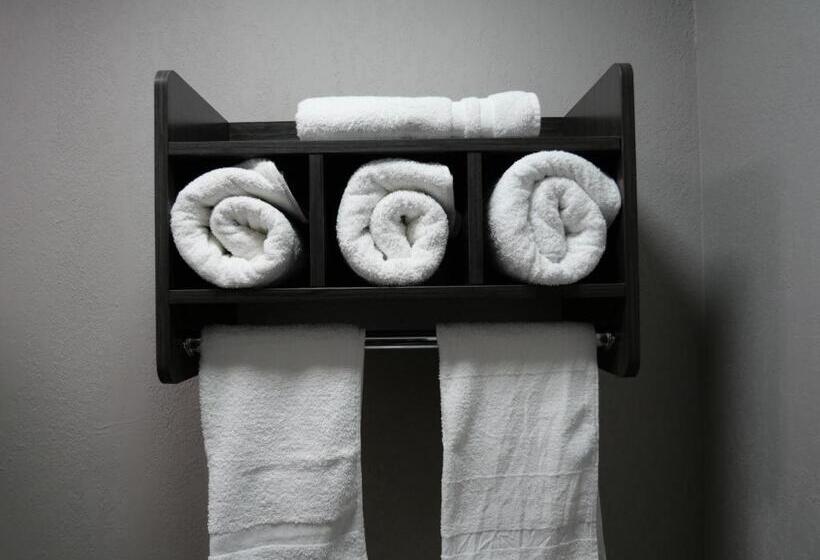 اتاق استاندارد با تخت بزرگ, Hilltop Express Inn