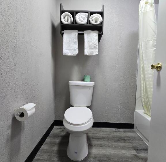 اتاق استاندارد با تخت بزرگ, Hilltop Express Inn